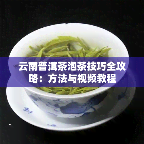 云南普洱茶泡茶技巧全攻略：方法与视频教程