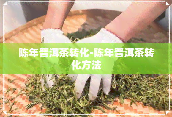 陈年普洱茶转化-陈年普洱茶转化方法