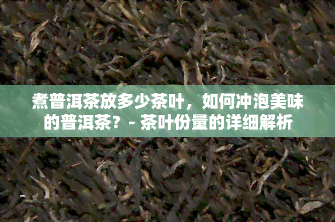 煮普洱茶放多少茶叶，如何冲泡美味的普洱茶？- 茶叶份量的详细解析