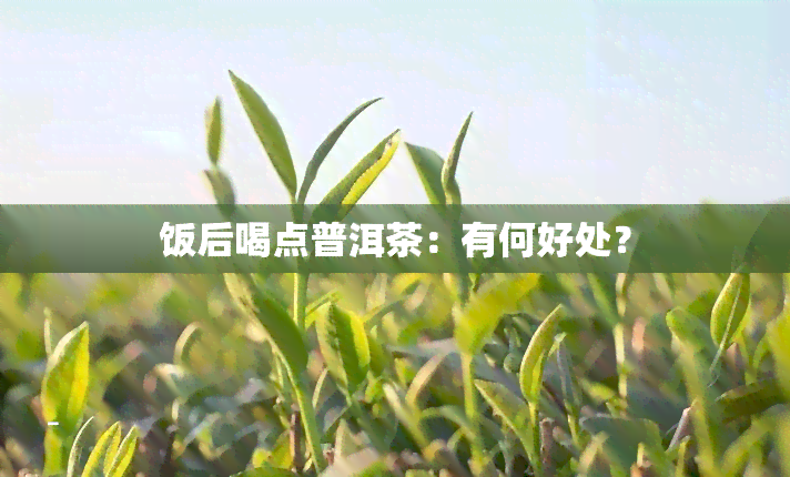 饭后喝点普洱茶：有何好处？