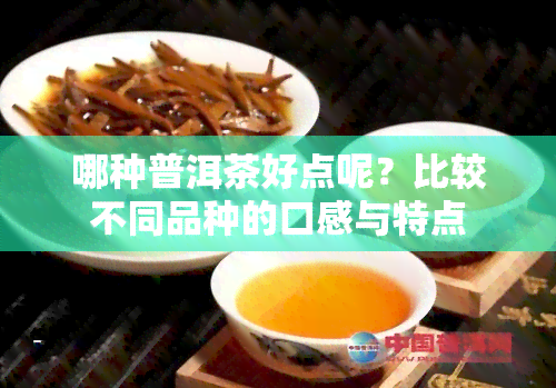 哪种普洱茶好点呢？比较不同品种的口感与特点