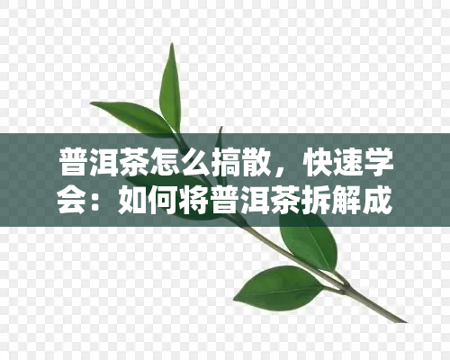 普洱茶怎么搞散，快速学会：如何将普洱茶拆解成单片？