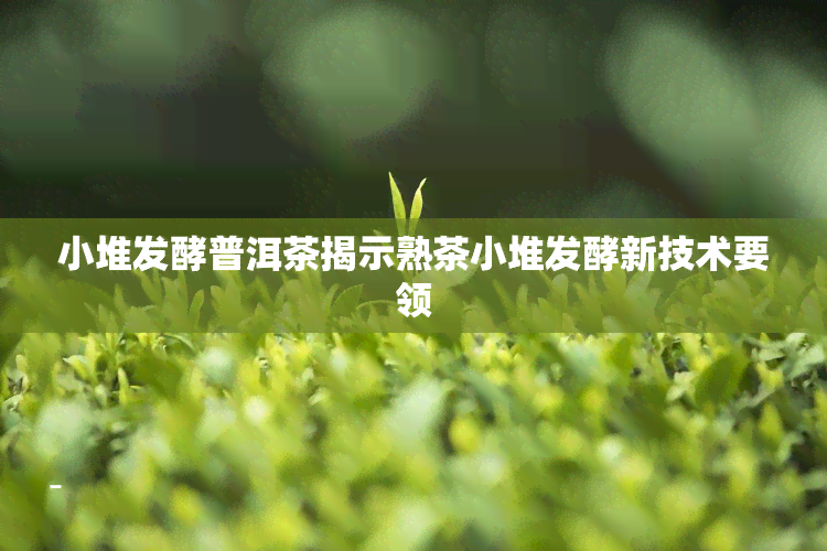 小堆发酵普洱茶揭示熟茶小堆发酵新技术要领