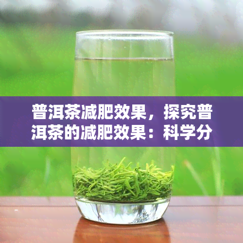 普洱茶减肥效果，探究普洱茶的减肥效果：科学分析与实用建议