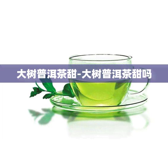 大树普洱茶甜-大树普洱茶甜吗