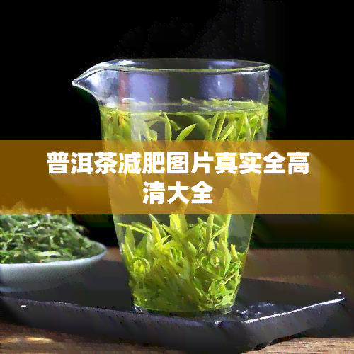 普洱茶减肥图片真实全高清大全