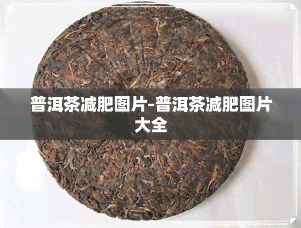 普洱茶减肥图片-普洱茶减肥图片大全