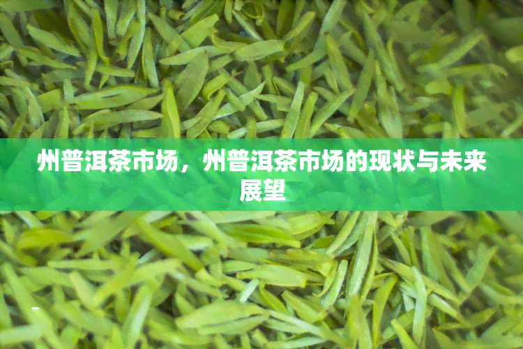 州普洱茶市场，州普洱茶市场的现状与未来展望