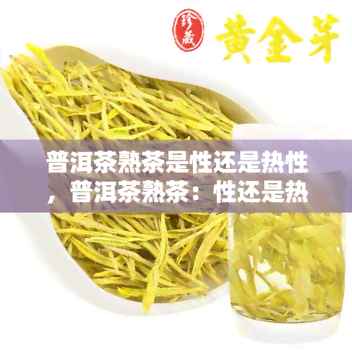 普洱茶熟茶是性还是热性，普洱茶熟茶：性还是热性？一次解答