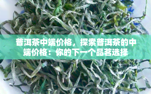 普洱茶中端价格，探索普洱茶的中端价格：你的下一个品茗选择