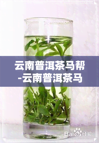 云南普洱茶马帮-云南普洱茶马帮进京