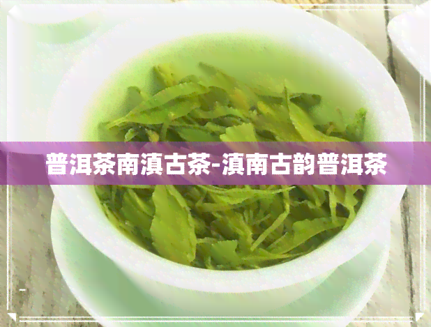 普洱茶南滇古茶-滇南古韵普洱茶