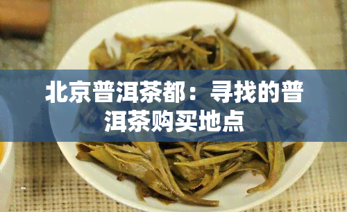 北京普洱茶都：寻找的普洱茶购买地点