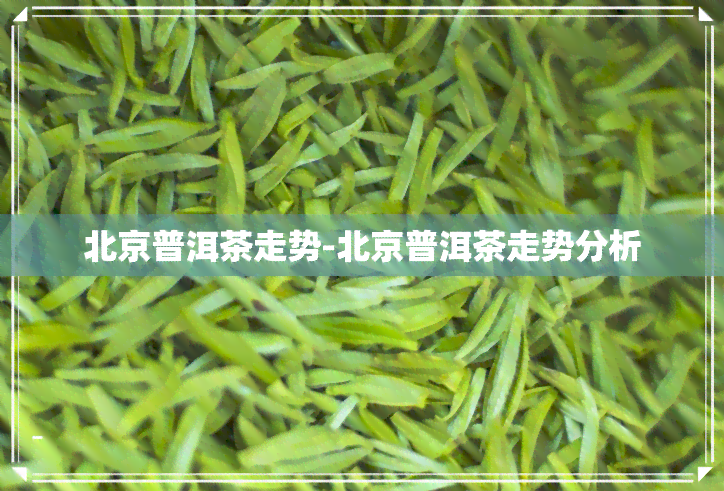 北京普洱茶走势-北京普洱茶走势分析