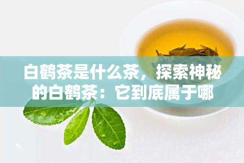 白鹤茶是什么茶，探索神秘的白鹤茶：它到底属于哪种茶？