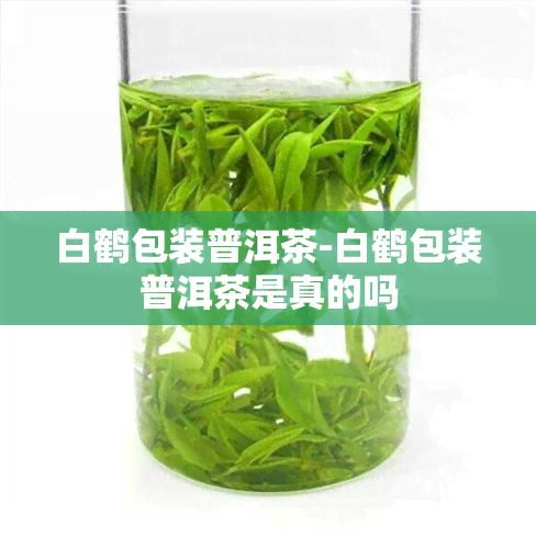 白鹤包装普洱茶-白鹤包装普洱茶是真的吗