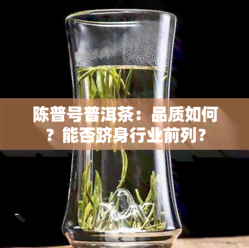 陈普号普洱茶：品质如何？能否跻身行业前列？