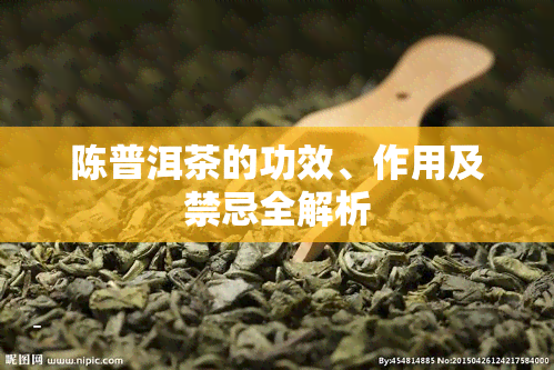 陈普洱茶的功效、作用及禁忌全解析