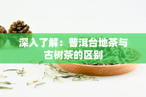 深入了解：普洱台地茶与古树茶的区别