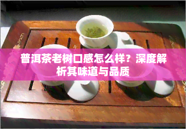 普洱茶老树口感怎么样？深度解析其味道与品质