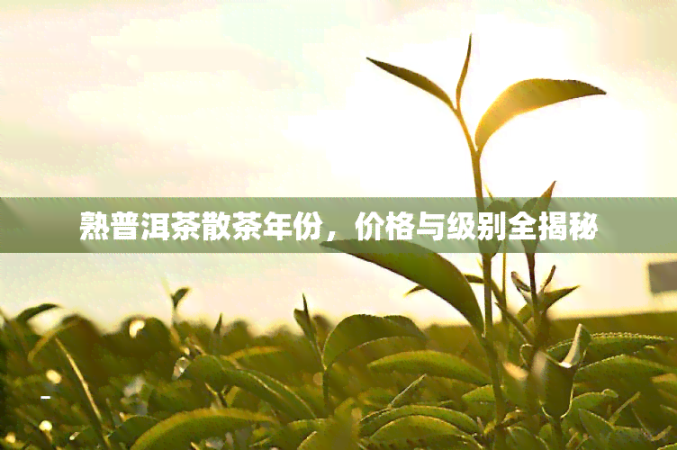 熟普洱茶散茶年份，价格与级别全揭秘