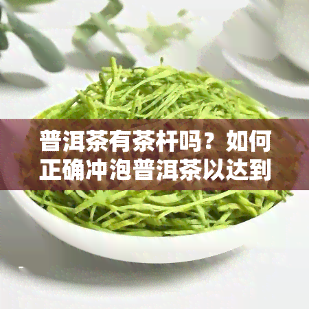 普洱茶有茶杆吗？如何正确冲泡普洱茶以达到口感？