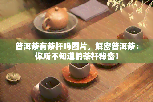 普洱茶有茶杆吗图片，解密普洱茶：你所不知道的茶杆秘密！