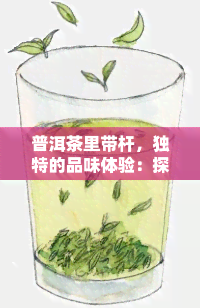 普洱茶里带杆，独特的品味体验：探索普洱茶中的“杆”元素