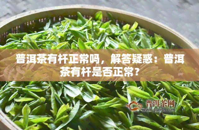 普洱茶有杆正常吗，解答疑惑：普洱茶有杆是否正常？