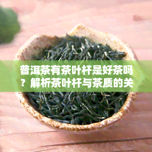 普洱茶有茶叶杆是好茶吗？解析茶叶杆与茶质的关系