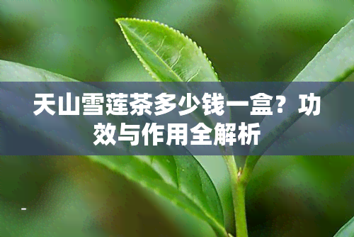 天山雪莲茶多少钱一盒？功效与作用全解析