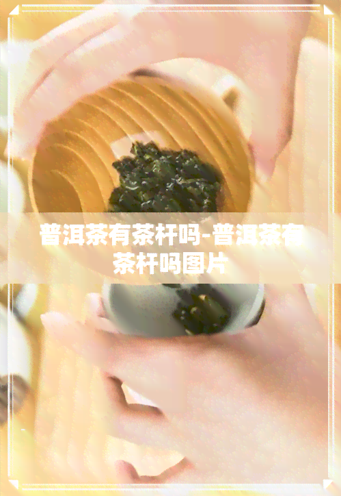 普洱茶有茶杆吗-普洱茶有茶杆吗图片