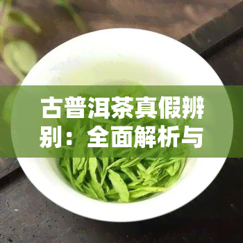 古普洱茶真假辨别：全面解析与辨识方法