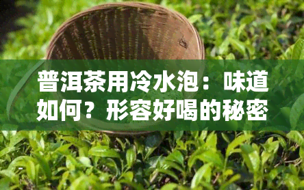 普洱茶用冷水泡：味道如何？形容好喝的秘密！