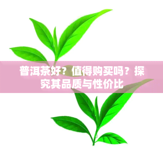 普洱茶好？值得购买吗？探究其品质与性价比