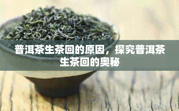 普洱茶生茶回的原因，探究普洱茶生茶回的奥秘