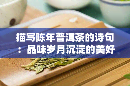 描写陈年普洱茶的诗句：品味岁月沉淀的美好