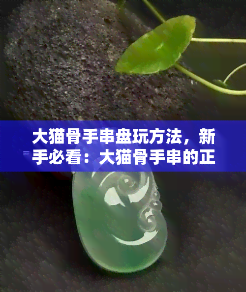 大猫骨手串盘玩方法，新手必看：大猫骨手串的正确盘玩方法