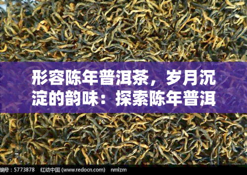 形容陈年普洱茶，岁月沉淀的韵味：探索陈年普洱茶的魅力