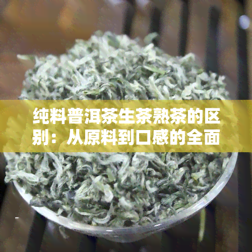 纯料普洱茶生茶熟茶的区别：从原料到口感的全面解析