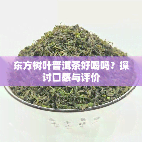 东方树叶普洱茶好喝吗？探讨口感与评价