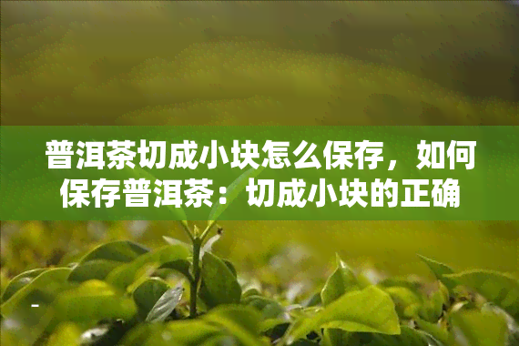 普洱茶切成小块怎么保存，如何保存普洱茶：切成小块的正确方法