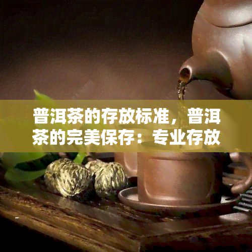 普洱茶的存放标准，普洱茶的完美保存：专业存放标准与技巧