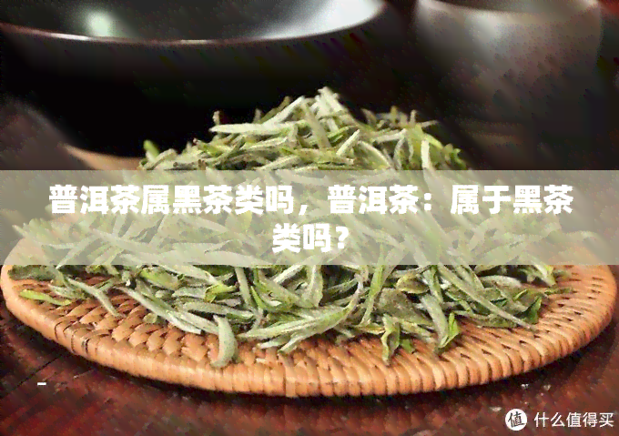 普洱茶属黑茶类吗，普洱茶：属于黑茶类吗？