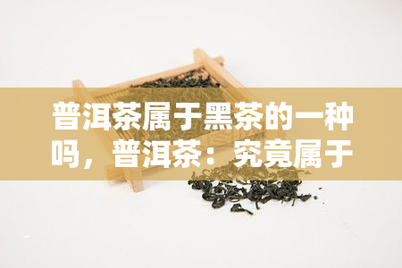 普洱茶属于黑茶的一种吗，普洱茶：究竟属于黑茶的哪种类型？