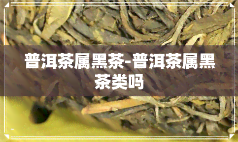 普洱茶属黑茶-普洱茶属黑茶类吗