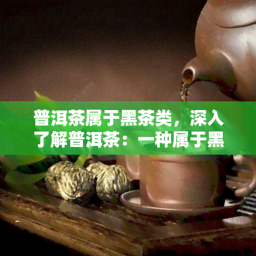 普洱茶属于黑茶类，深入了解普洱茶：一种属于黑茶类的茶叶