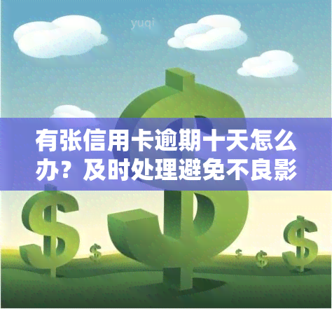 有张信用卡逾期十天怎么办？及时处理避免不良影响！