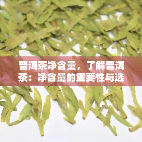 普洱茶净含量，了解普洱茶：净含量的重要性与选择技巧