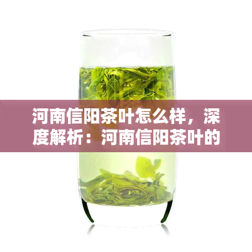 河南信阳茶叶怎么样，深度解析：河南信阳茶叶的品质与口感